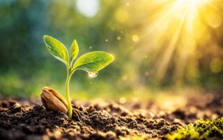 Samen der Veränderung – wie Gedanken unser Leben verändern